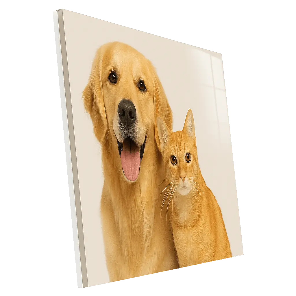 Acrylic UV Prints – High-Definition Modern Wall Arts