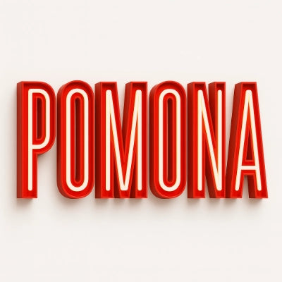 Open Face Channel Letters for Retro Neon-Style Signage South Florida Acrylics