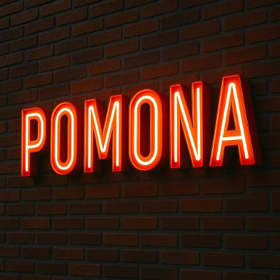 Open Face Channel Letters for Retro Neon-Style Signage South Florida Acrylics