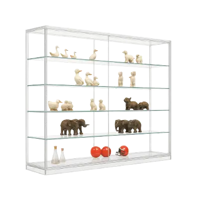 Wall-Mounted Display Case – Clear Acrylic