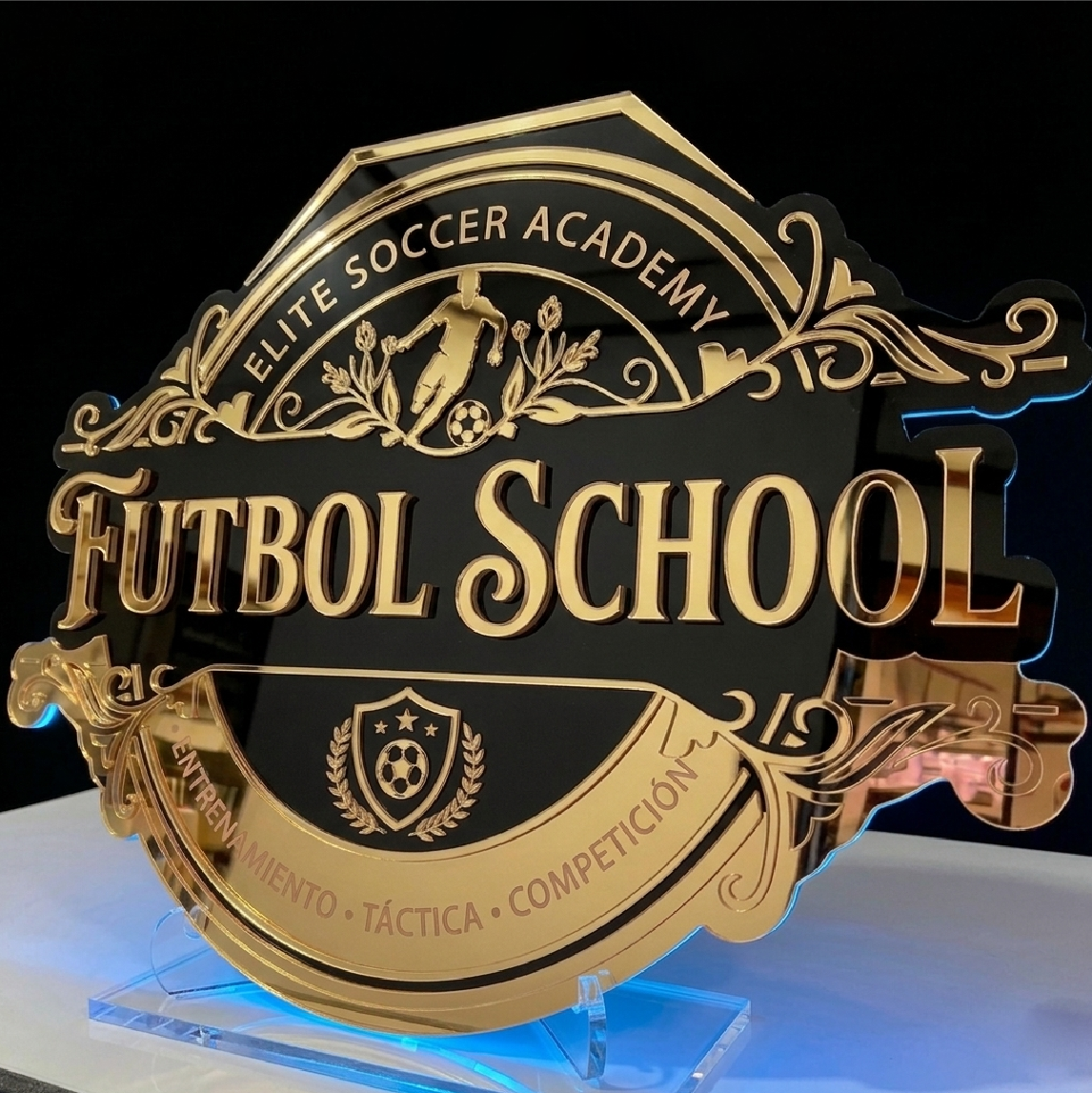 Custom Acrylic 3D Signs