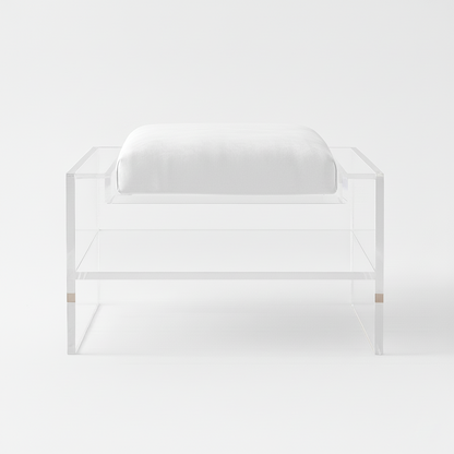 Modern Clear Acrylic Accent Chair