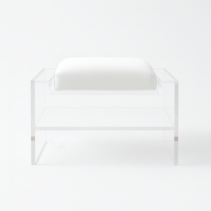 Modern Clear Acrylic Accent Chair