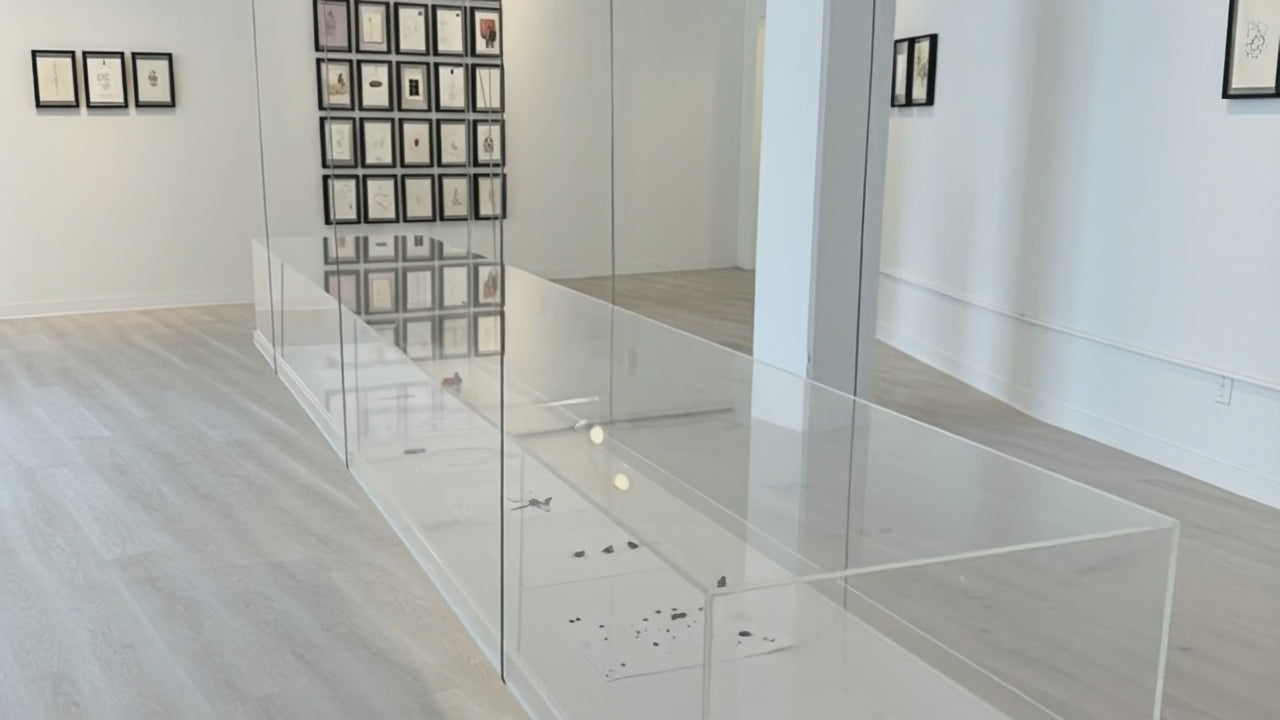 Load video: Showcase, Protect &amp; Elevate Your Art
